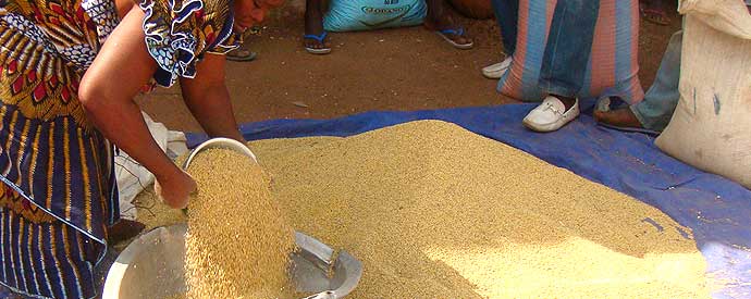 Obtenez le prix de gros ou de détail sur SIMAgri